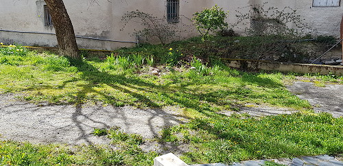 ESCOULOUBRE